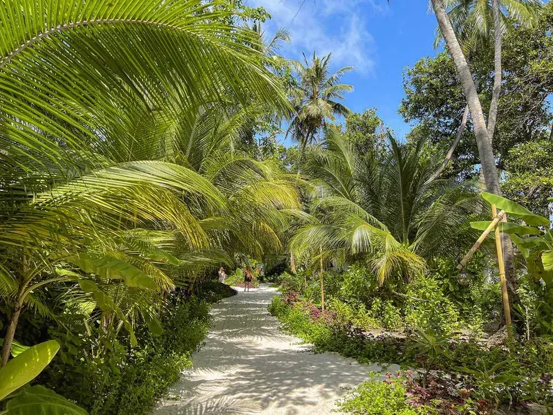 Malahini Kuda Bandos Resort – Maldív-szigeteki butikresort