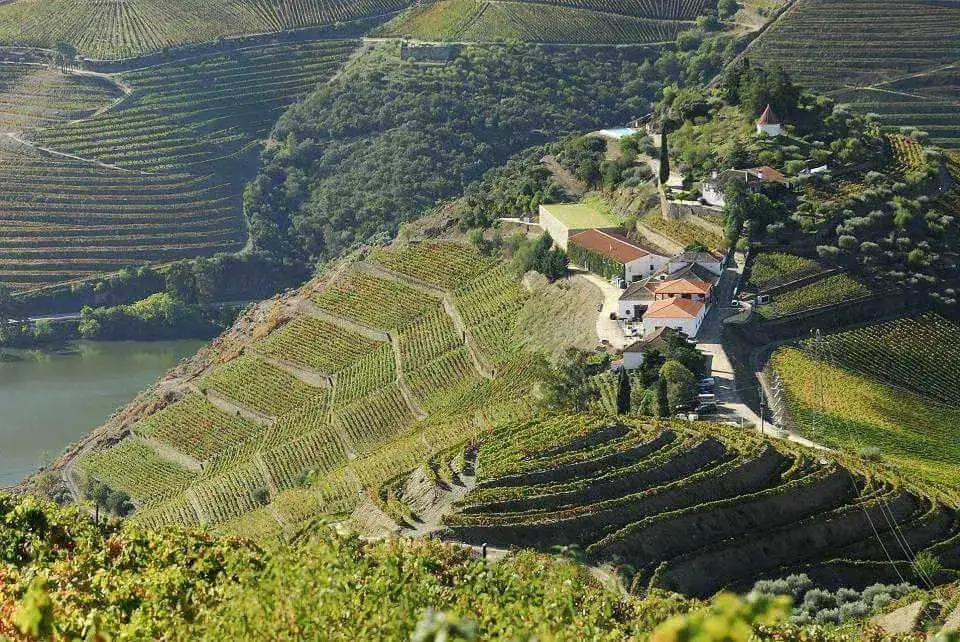 Élettel teli folyópart Portóban a Douro-völgyi bortúrán