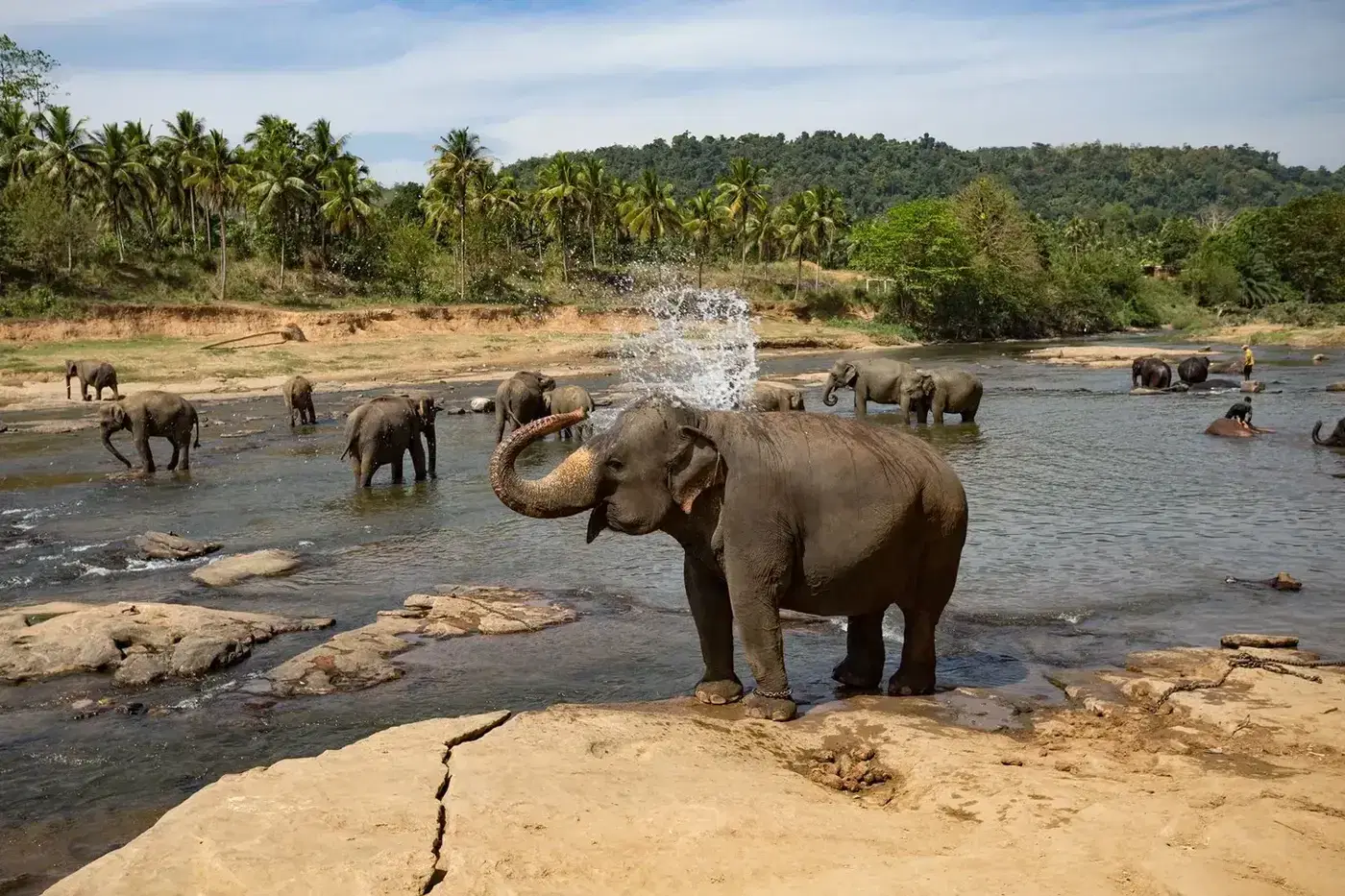 Cinnamon Citadel Kandy – Sri Lanka / Kandy Town utazási ajánlat