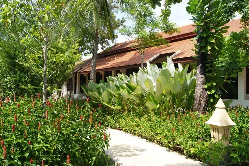Medencés trópusi kert a Duangjitt Resort & Spa phuketi szállodában